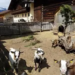 Alpin Reiterhof *
