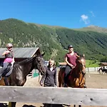 Alpin Reiterhof * Niederthai