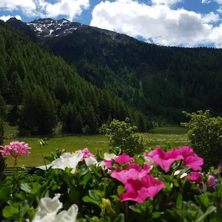 Alpin Reiterhof Appartement