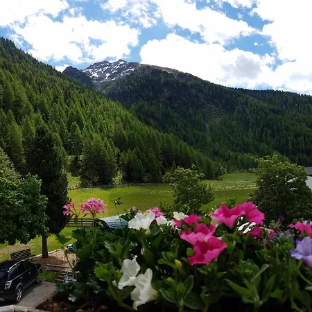 Alpin Appart Reiter- & Alpakahof In Niederthai *