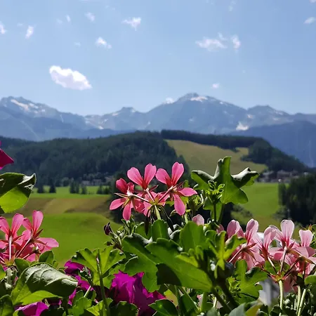 Alpin Reiterhof Daire