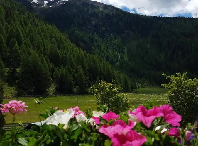 Alpin Reiterhof Apartment