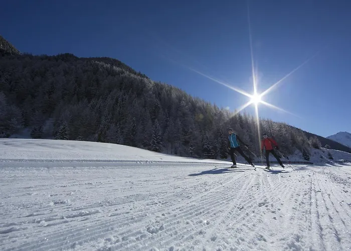 Alpin Reiterhof *