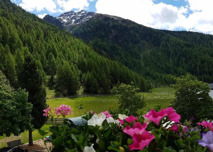 Alpin Reiterhof *