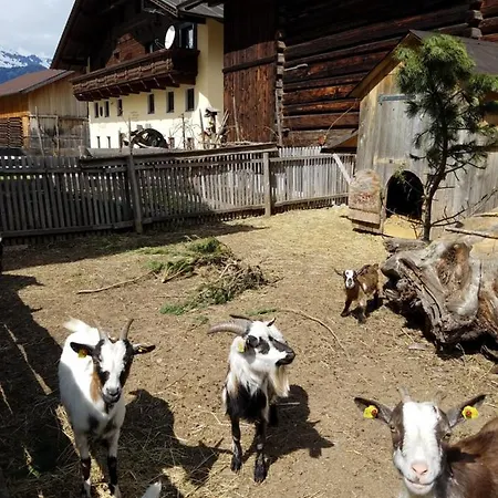 Alpin Reiterhof *